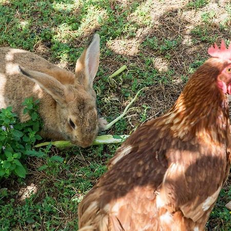 Viviendas El Barrio Cabezón de Liébana Εξωτερικό φωτογραφία